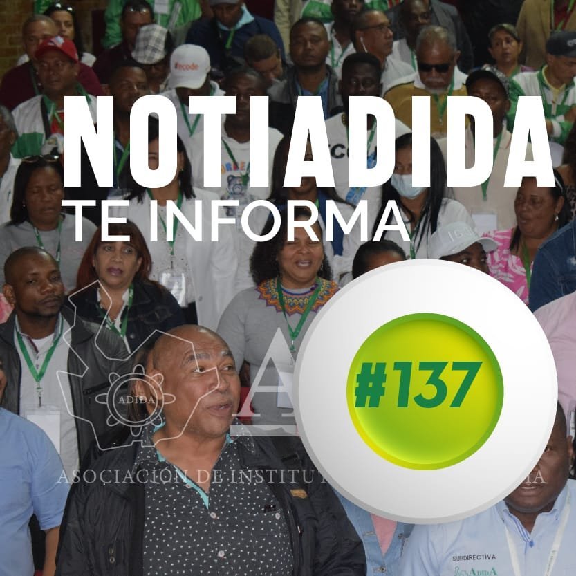 NOTIADIDA#137
