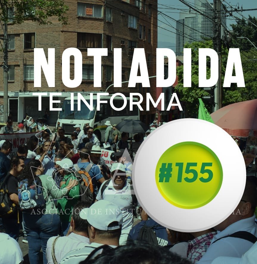 NOTIADIDA#155