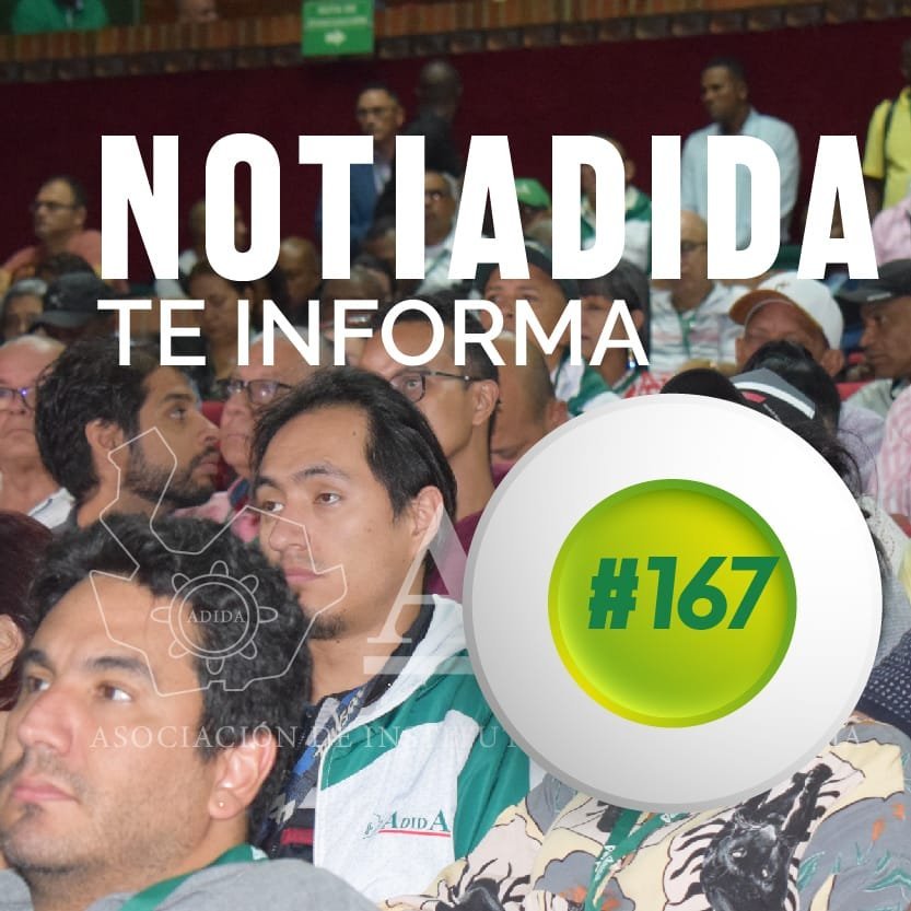 NOTIADIDA#167