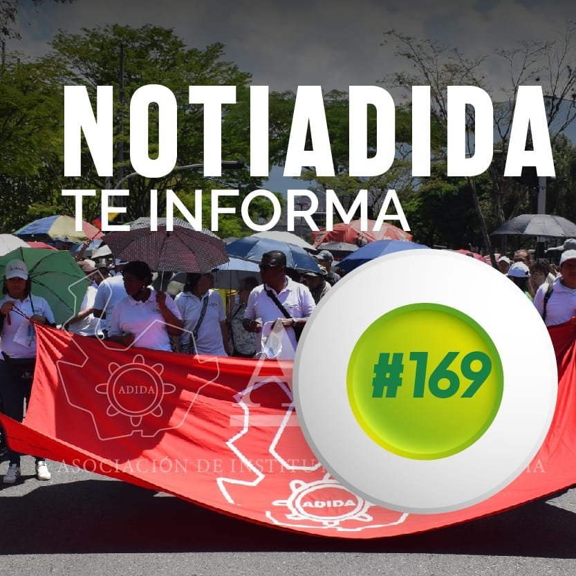 NOTIADIDA#169