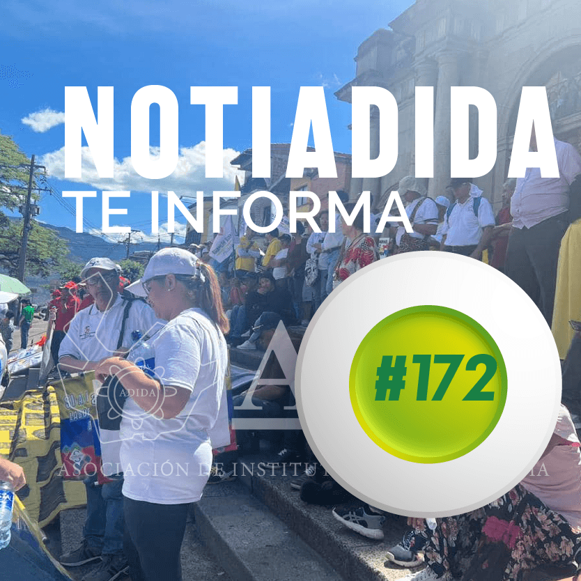 NOTIADIDA#172