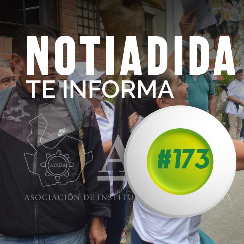 NOTIADIDA#173