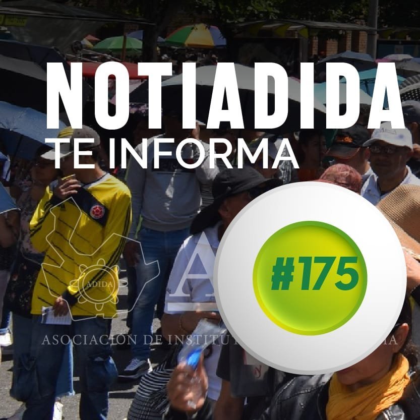 NOTIADIDA#175