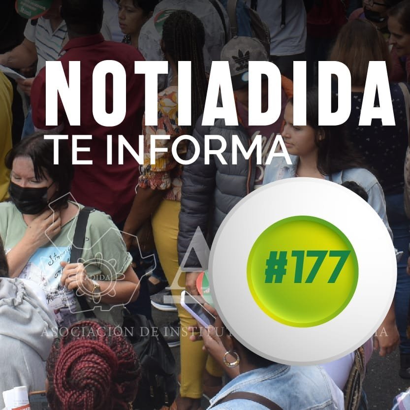 NOTIADIDA#177