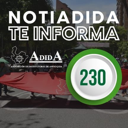 NOTIADIDA#230