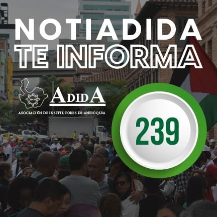 NOTIADIDA#239