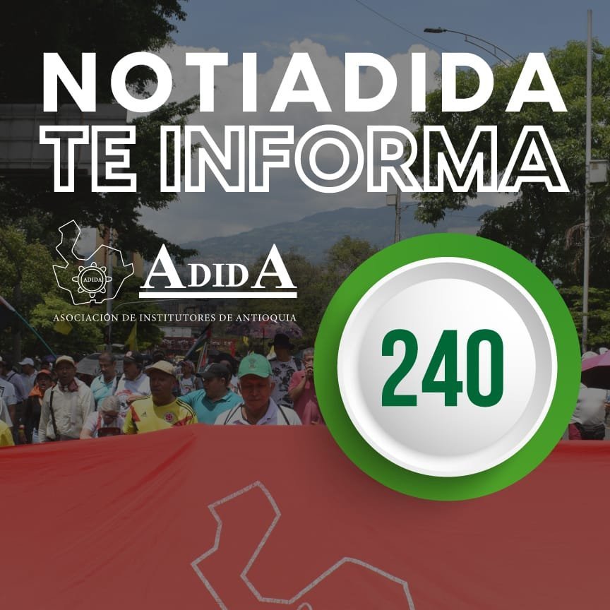 NOTIADIDA#240