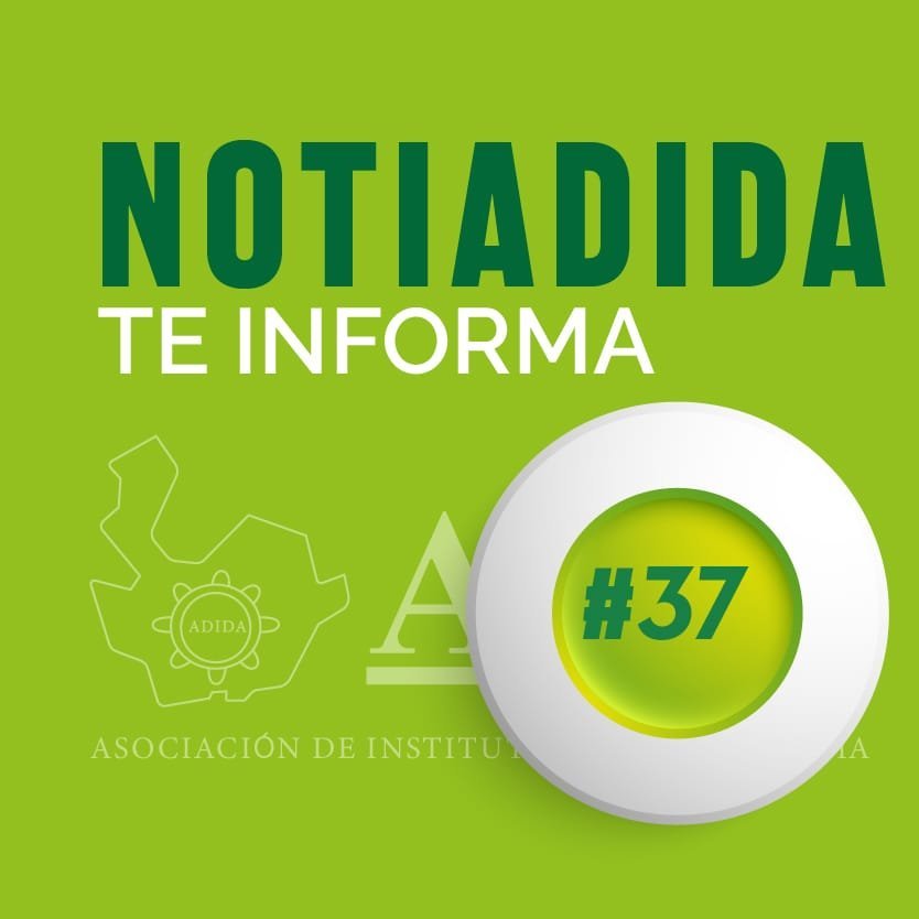 NOTIADIDA#37