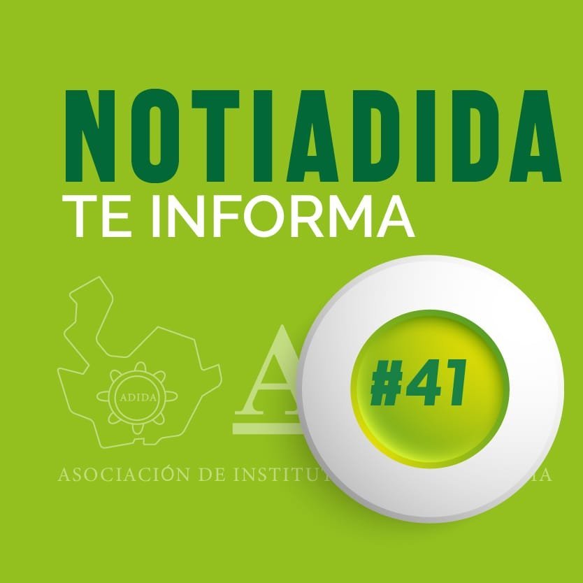 NOTIADIDA#41
